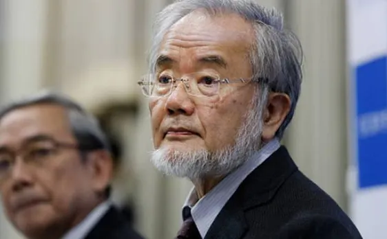 Who is Nobel medicine prize winner Yoshinori Ohsumi?