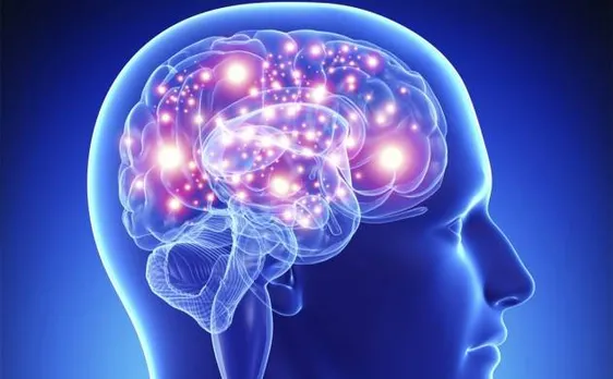 Gene therapy could prevent Alzheimer's: study