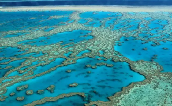 Great Barrier Reef climate severely affected by rising water temperatures, but not dead