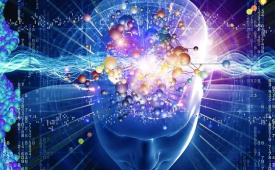 Human mind regulates social behaviour differently in men, women
