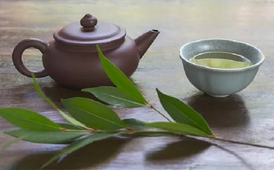 Green tea helps to reduce kidney damage by anti-cancer drugs, says AIIMS study 