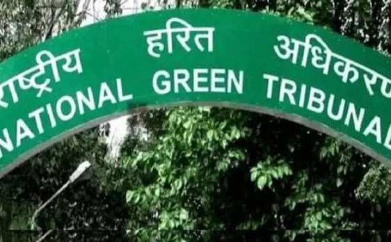 NGT prohibits Hindi language, only English permissible in its proceedings  