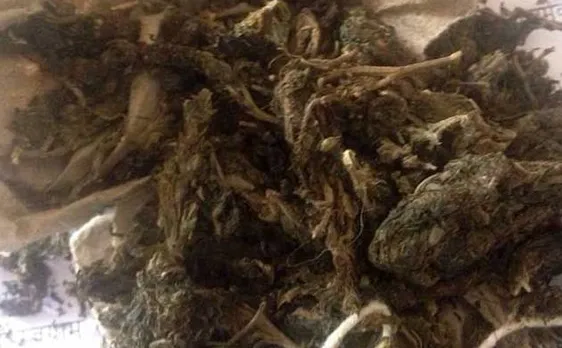Lankan navy catches three men for 'smuggling ganja'