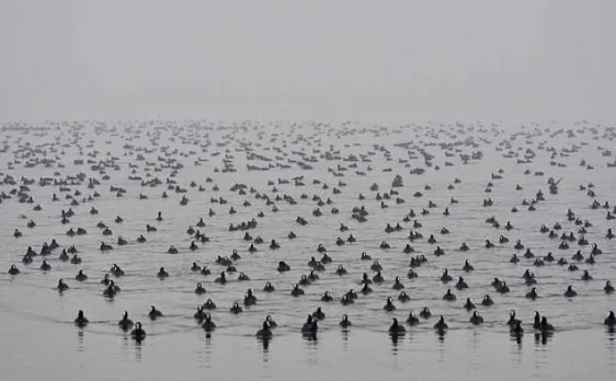 Cold wave intensifies in Jammu & Kashmir; Dal lake, other water bodies freeze in Srinagar