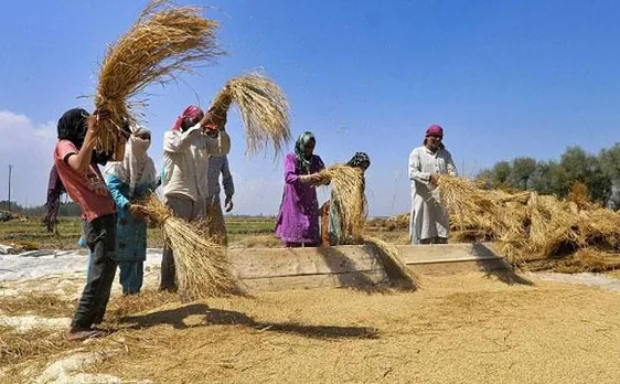 Old practice of â€˜Badaliaâ€™ system of exchanging labour services comes back into practice post currency ban