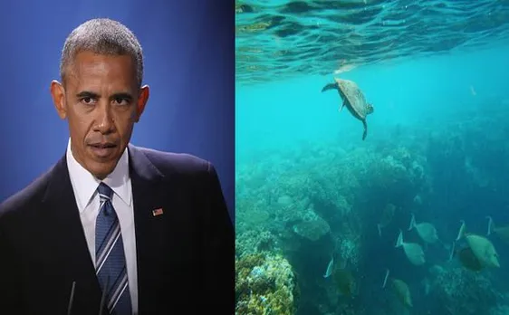 Newly discovered species of coral reef fish named after US President Barack Obama