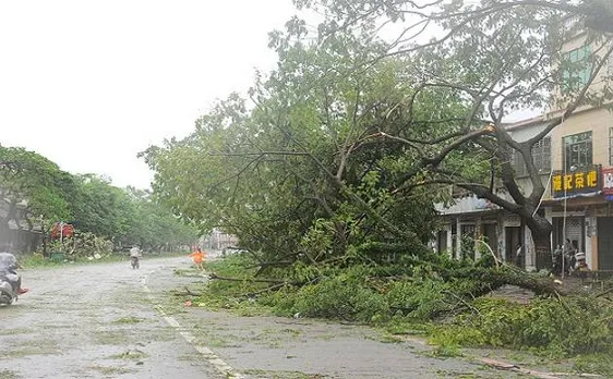 Typhoon leaves 1 dead, spoils Christmas celebrations in Philippines