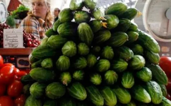 Scientists examine cucumber seedlings under microgravity conditions of International Space Station