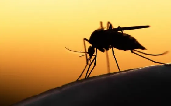 Death due to mosquito bite an accident, liable for insurance claim: Commission 