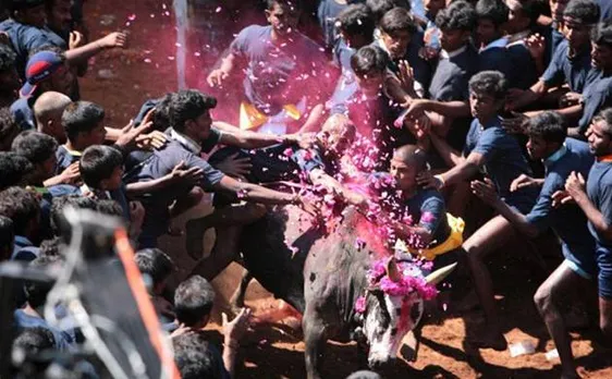 Jallikattu in Tamil Nadu: SC rejects plea, calls it â€˜unfairâ€™ to ask the bench to pass an order