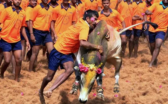 Jallikattu row: Several supporters taken into preventive custody near Madurai for allegedly trying to defy ban