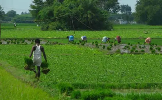 Cabinet approves Rs 200.78 crore for Indian Agricultural Research Institute campus in Jharkhand
