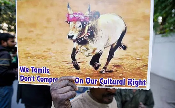 Jallikattu row: Government making efforts to bring legal solution at earliest
