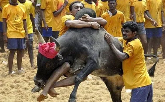 Jallikattu row: Rajinikanth, Kamal Haasan and other actors join protest, here is what all happened on Friday