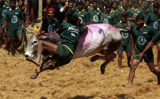 Bill to replace Tamil Nadu governmentâ€™s jallikattu ordinance to be tabled today
