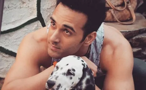 Pulkit Samrat looses his cool on photo journo after filing divorce case with Shweta Rohira