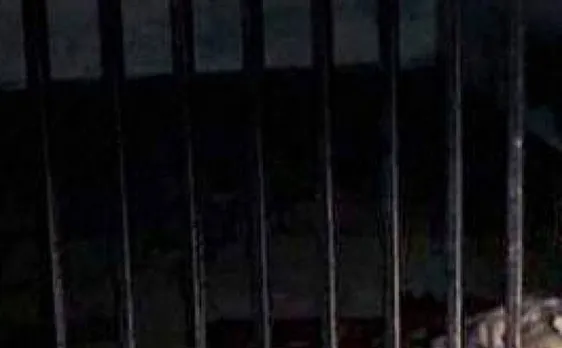 Bihar: Life sentence to 14 people for murdering man 18 years ago