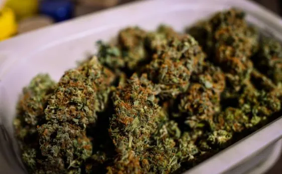 Hyderabad doctor held for selling â€˜Ganjaâ€™ chocolates on Instagram 