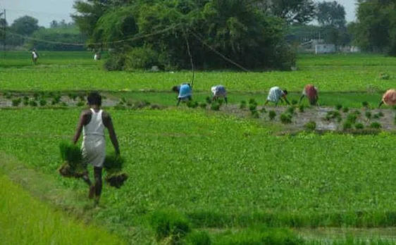 Union Budget 2017: Agri-credit target increased by 11 per cent to Rs 10 lakh crore