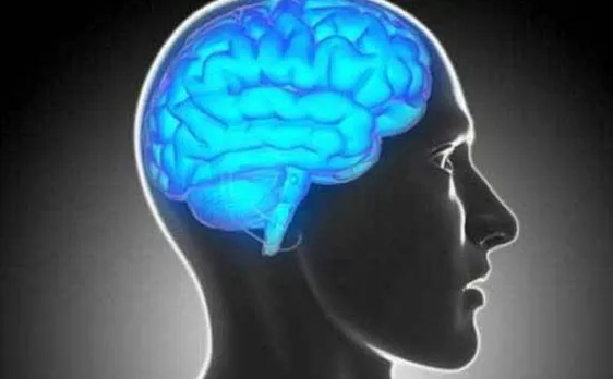 World's tiniest hammer may help understand traumatic brain injuries