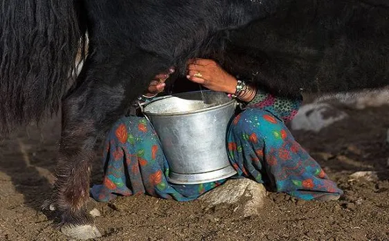 Multi-fold rise in cashless payments to farmers in dairy sector, says Govt