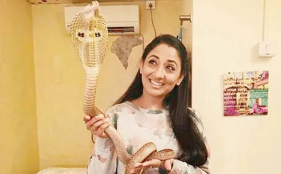 'Nagarjuna' actress Shruti Ulfat granted bail in posing with cobra case