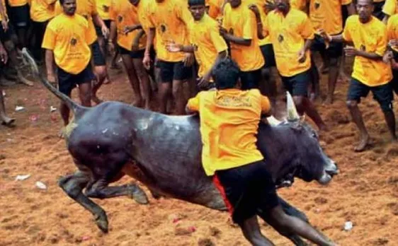 Tamil Nadu: Six people seriously injured in Jallikattu event