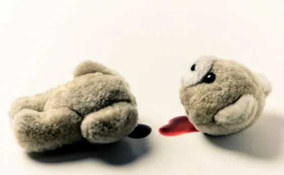 Valentine's Day : ISIS priest beheads Teddy Bear, sends violent warning against celebration