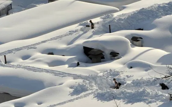 Snow shoveling may raise heart health warning in men: Study