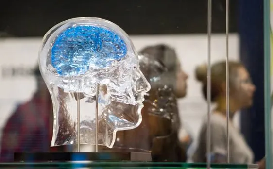 Emotions not innately programmed in our brains subcortical circuits: Study