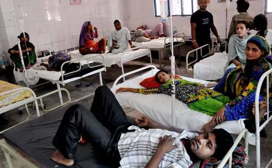 Monkey fever detected in Maharashtra after two deaths in Goa