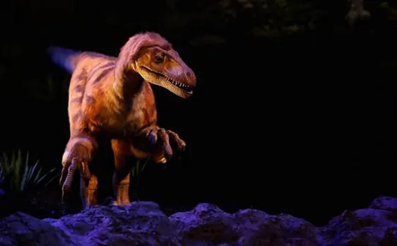 Real life Jurassic Park found in China
