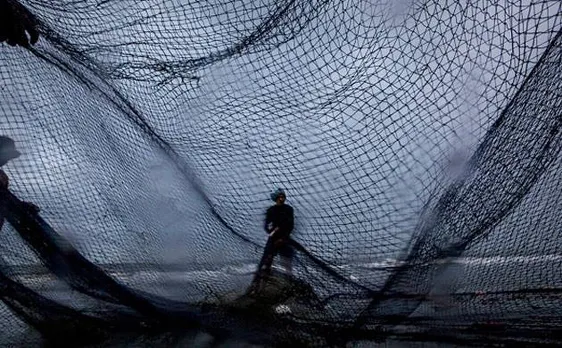 Indian fisherman's killing: Sri Lankan government orders thorough probe