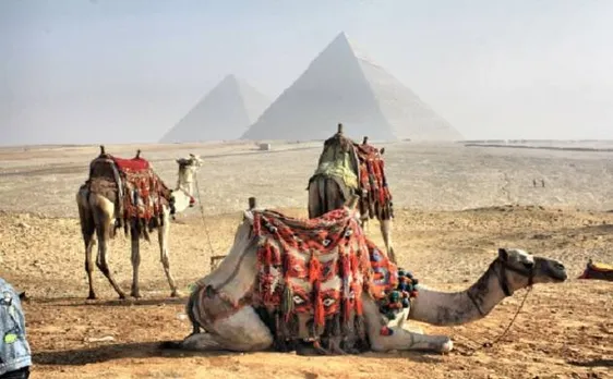 'India by the Nile': A crafts fair that connects Ganga to Egypt