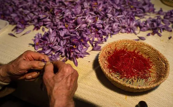 Wind of change with use of herbal colours, environment-friendly dresses this Holi 