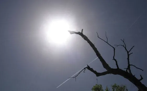 Delhi witnesses warm Sunday with maximum temperature at 35.2 degrees