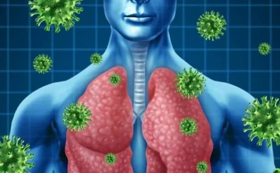 Stem cell therapy may potentially reduce lung inflammation: Study