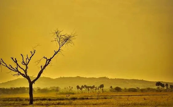 Human-caused global warming creates extreme summers, says study