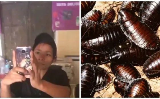 When CCD staff member slapped customer for filming coackroaches in cafe fridge in Jaipur