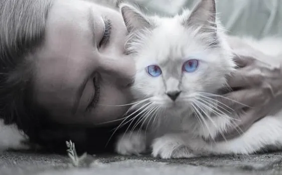 Cats love human interaction over food, says study