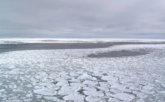 Algae blooms in Arctic as thinning ice lets in light