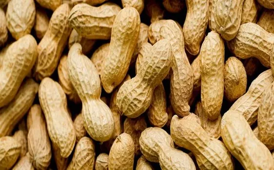 Eating peanuts may reduce heart risks, says study