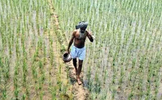 'Like cows, farmers too have the right to live': Shiv Sena MP lashes out at BJP