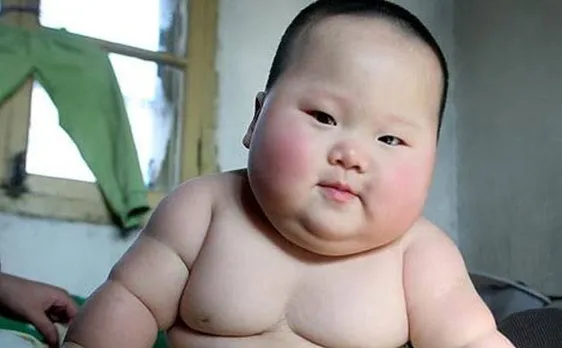 Pets can protect kids from allergy, obesity: Study