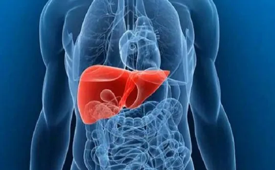 A diet high in animal protein may lead to fat build-up in the liver