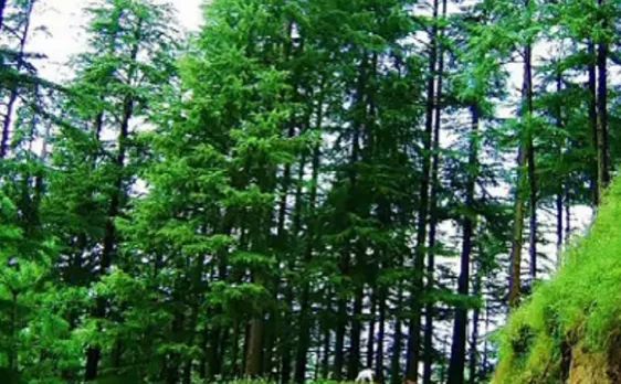 Spending time in nature may be beneficial for overall health, says research