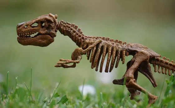 160-million-year old dinosaur discovered in France, identified as earliest relative of Brachiosaurs
