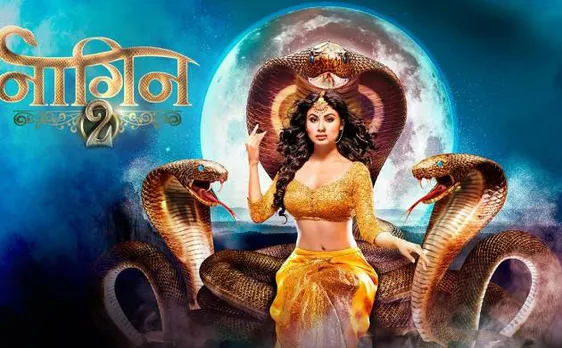 'Mahabharat', 'Devon Ke Dev Mahadev' and 'Nagin' a big hit in China
