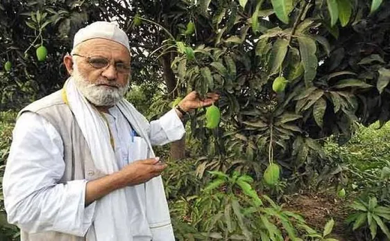 UP man invents new variety of mango; to name it after CM Yogi Adityanath