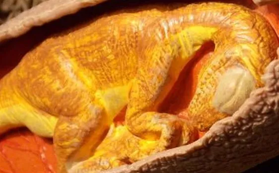 Chinese baby dragon: Species of 90-million-year-old fossilized dinosaur embryo called 'Baby Louie' finally identified